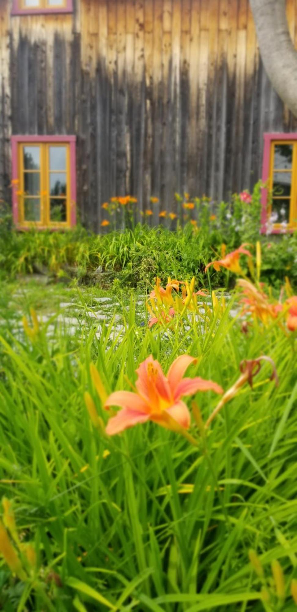 Auberge Le P'Tit Bonheur Saint-Laurent-de-l'ile d'Orleans المظهر الخارجي الصورة