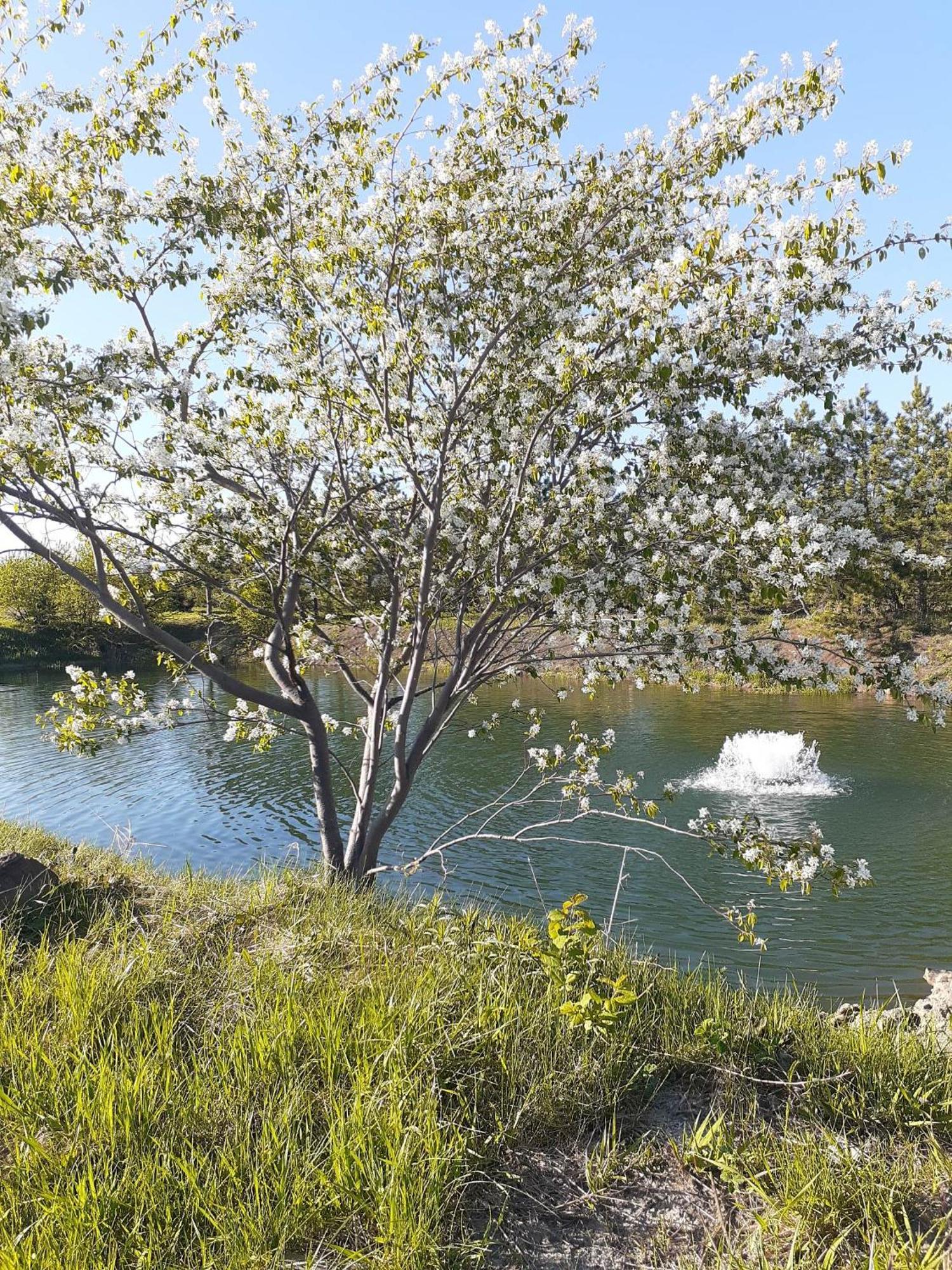 Auberge Le P'Tit Bonheur Saint-Laurent-de-l'ile d'Orleans المظهر الخارجي الصورة